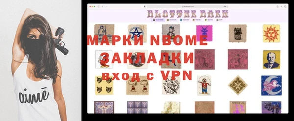 тгк Дмитровск
