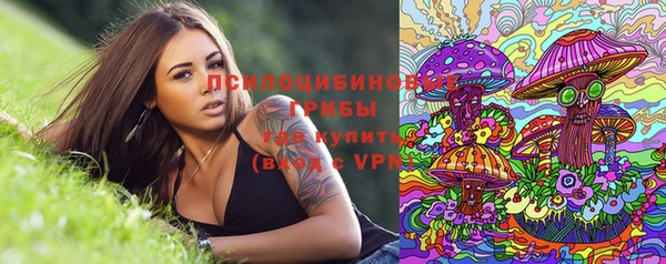 тгк Дмитровск