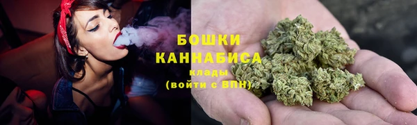 прущие грибы Дмитров