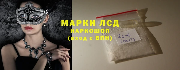 прущие грибы Дмитров