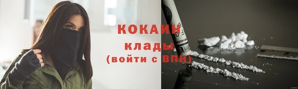 тгк Дмитровск