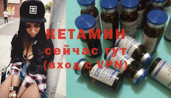 прущие грибы Дмитров