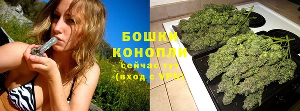 винт Дмитриев