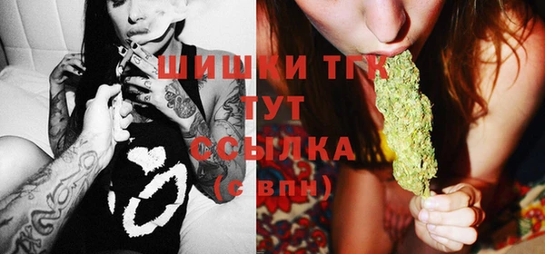винт Дмитриев