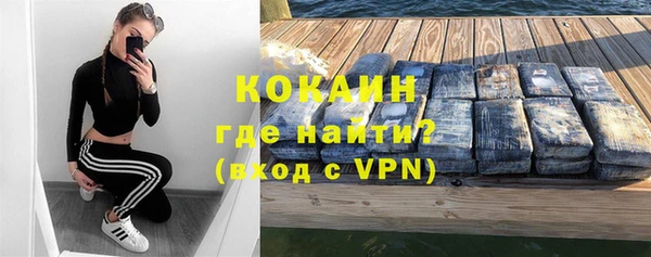 тгк Дмитровск