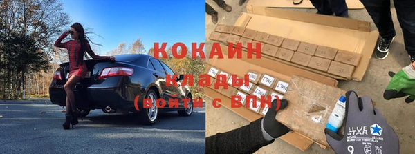 прущие грибы Дмитров