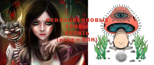 тгк Дмитровск