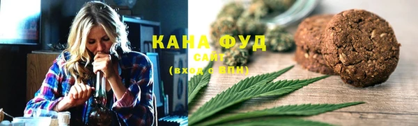 винт Дмитриев